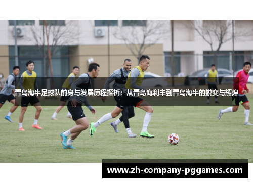 青岛海牛足球队前身与发展历程探析：从青岛海利丰到青岛海牛的蜕变与辉煌