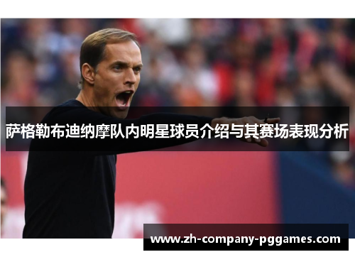 萨格勒布迪纳摩队内明星球员介绍与其赛场表现分析