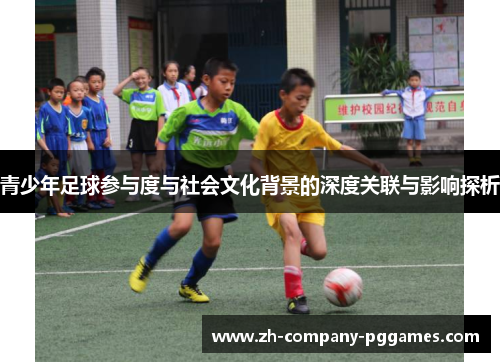 青少年足球参与度与社会文化背景的深度关联与影响探析
